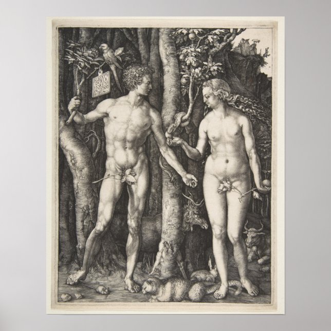 Adam and Eve, 1504 Poster (Vorne)