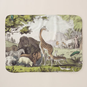 Adam benennt die Kreaturen Sherpadecke