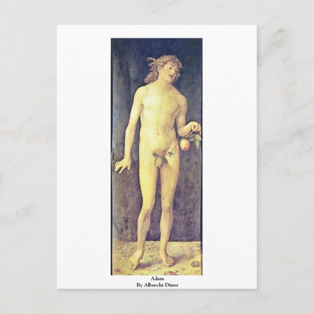 Adam by Albrecht Dürer Postkarte (Vorderseite)