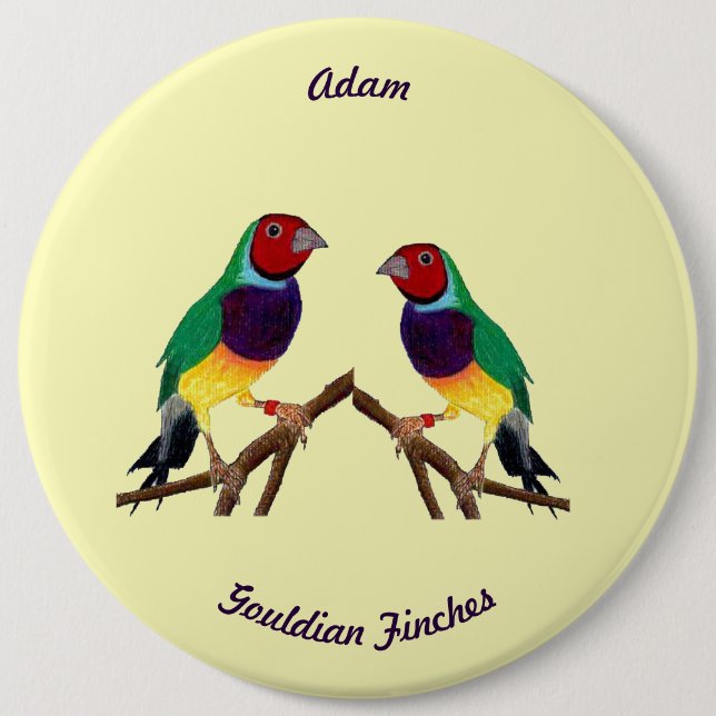 ADAM ~ Gouldian Finch ~ Personalisiert ~ Button (Vorderseite)