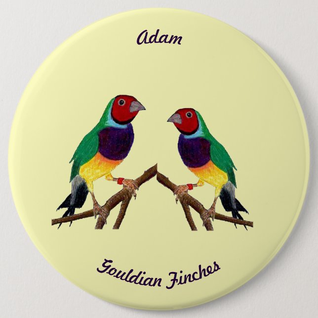 ADAM ~ Gouldian Finch ~ Personalisiert ~ Button (Vorderseite)