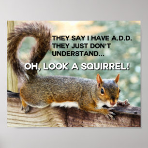 ADD Eichhörnchen-Foto Poster