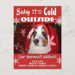 Add Pet Foto "Baby It's Cold Outside" Holiday Postkarte