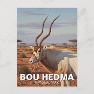 Addax Antelope, Nationalpark Bou Hedma Tunesien Postkarte