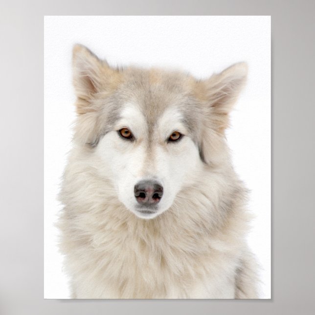 Addie von der A Street Poster (Vorne)