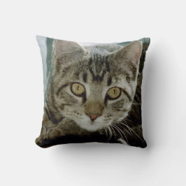 Addieren Sie Ihr Lieblingskissen der Kissen