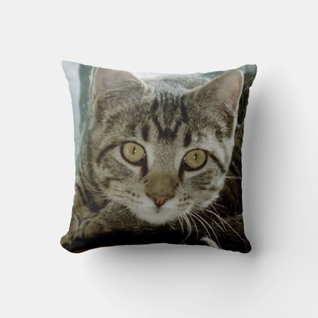 Addieren Sie Ihr Lieblingskissen der Kissen (Vorderseite)