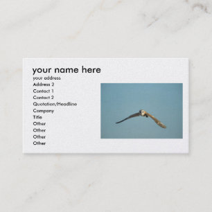 addieren Sie Sie Info-Visitenkarten Visitenkarte