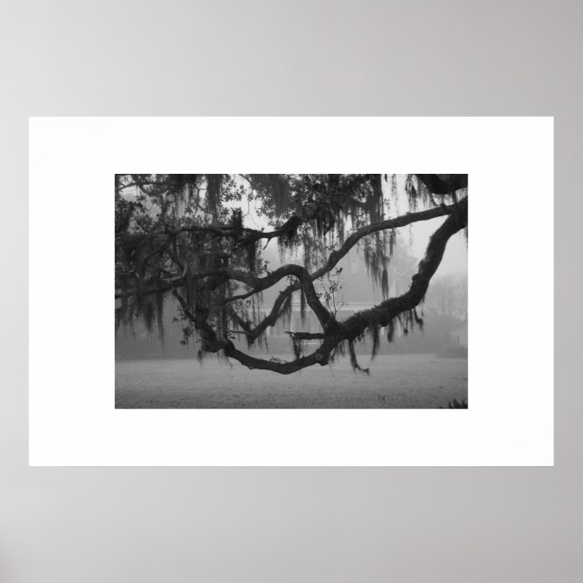 Addis House Poster (Vorne)