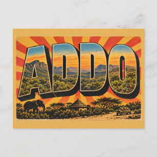 Addo-Elefanten-Thicket Valley Zuurberg Vintage Postkarte