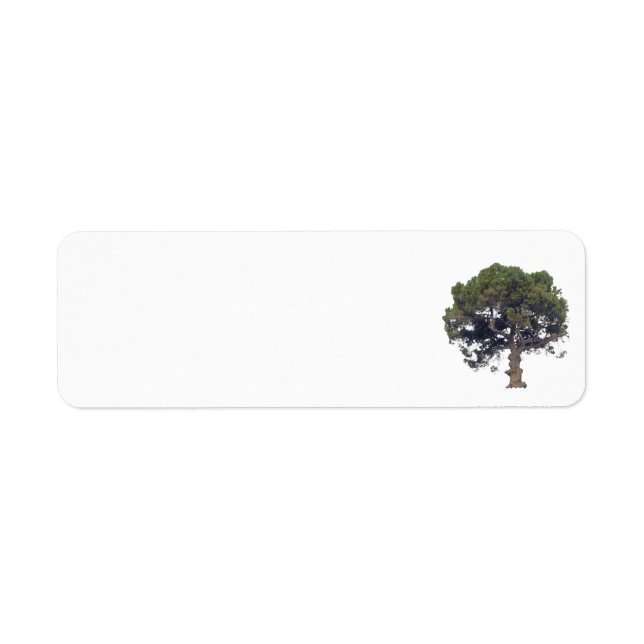 Address Labels Art&Design Stile (Vorne)