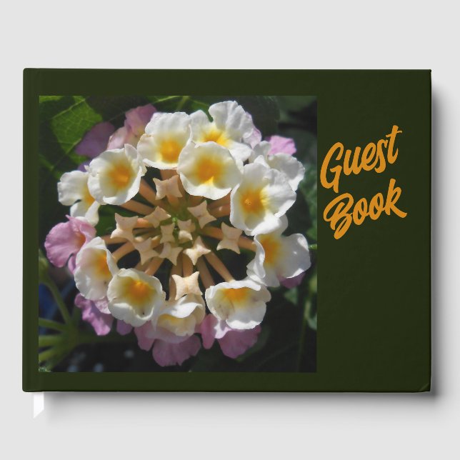 Adelaparre Gästebuch (Vorderseite)