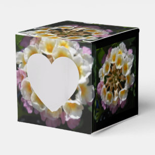 Adelaparre Geschenkschachtel