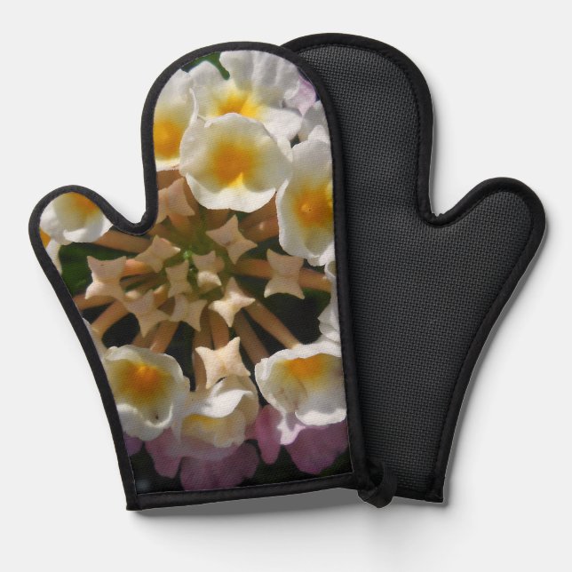 Adelaparre Ofenhandschuh (Vorderseite/Rückseite)