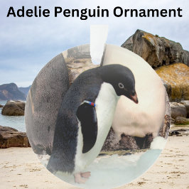 Adelie Penguin - Acrylschmuck Ornament