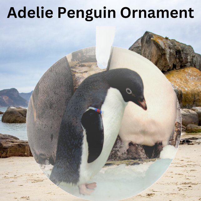Adelie Penguin - Acrylschmuck Ornament (Von Creator hochgeladen)