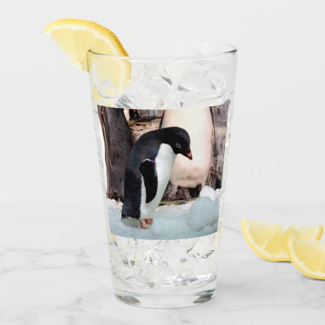 Adélie Penguin Glass Tumbler / Shaker Glass (Vorderseite Ice)