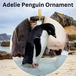 Adelie Penguin Keramik Ornament