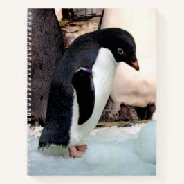 Adélie Penguin-Notebook Notizbuch