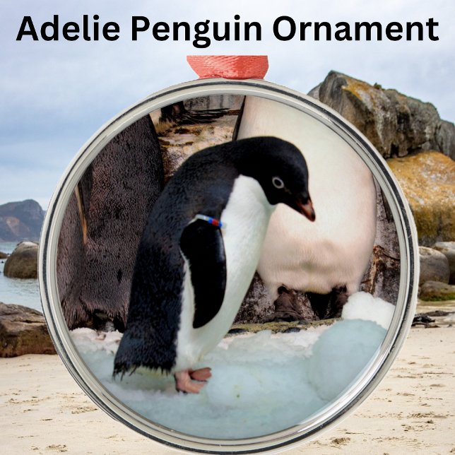 Adelie Penguin Preimium Ornament (Von Creator hochgeladen)