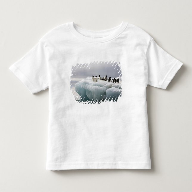 Adelie Penguin Pygoscelis adeliae), Kleinkind T-shirt (Vorderseite)