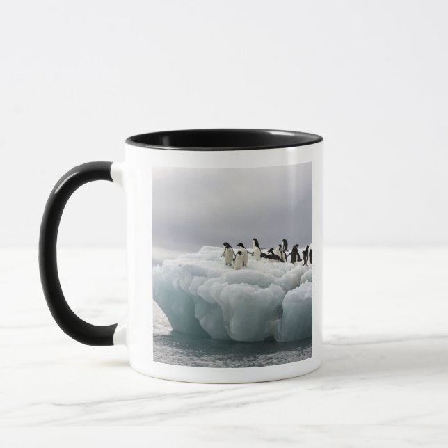 Adelie Penguin Pygoscelis adeliae), Tasse (Links)