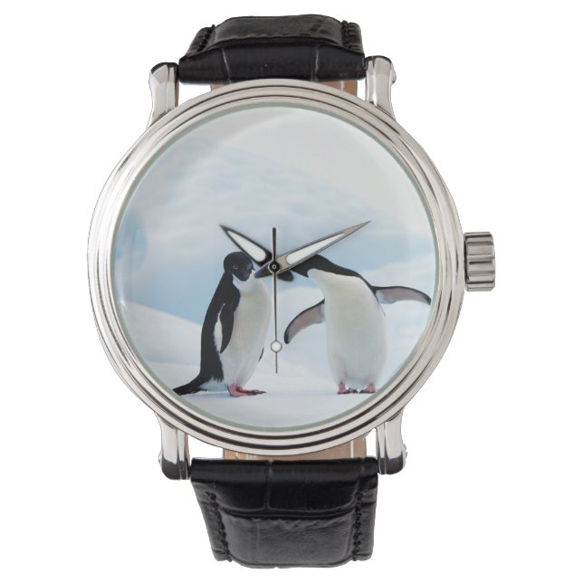 Adelie Penguins Armbanduhr (Vorderseite)