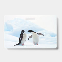 Adelie Penguins