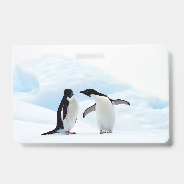 Adelie Penguins Ausweis (Vorderseite)