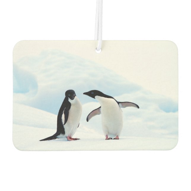 Adelie Penguins Autolufterfrischer (Rückseite)