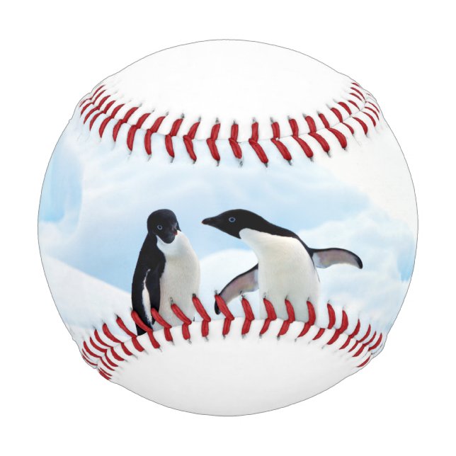 Adelie Penguins Baseball (Vorderseite)