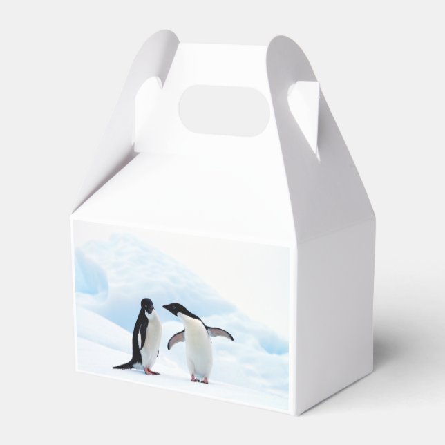 Adelie Penguins Geschenkschachtel (Rückseite)