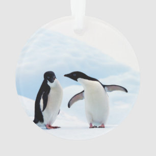 Adelie Penguins Ornament
