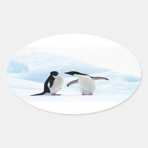 Adelie Penguins Ovaler Aufkleber