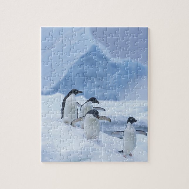 Adelie Penguins (Pygoscelis adeliae) auf Eis, Puzzle (Vertikal)