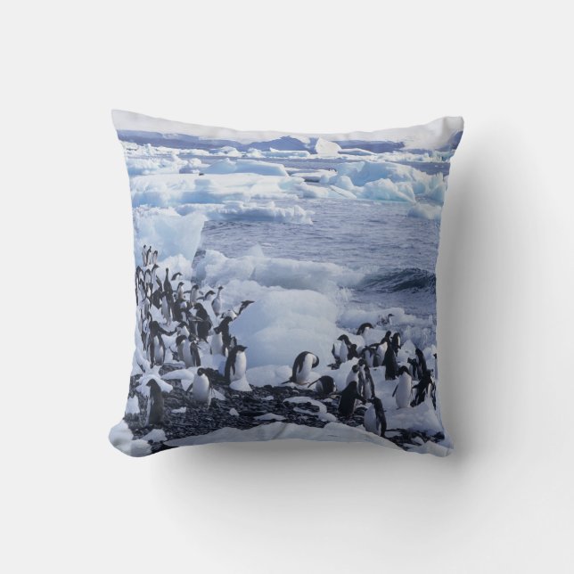 Adelie Penguins Pygoscelis adeliae Kissen (Vorderseite)