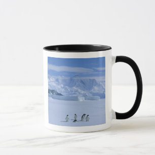 Adelie Penguins, Pygoscelis adeliae), Tasse