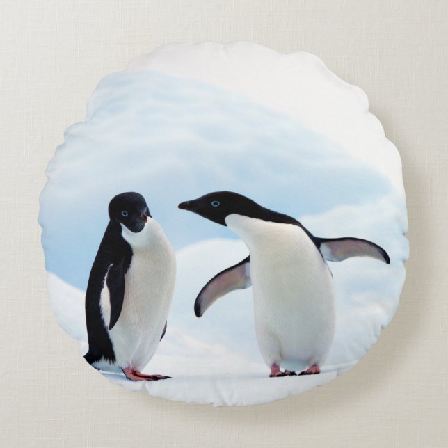 Adelie Penguins Rundes Kissen (Vorderseite)