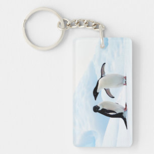 Adelie Penguins Schlüsselanhänger