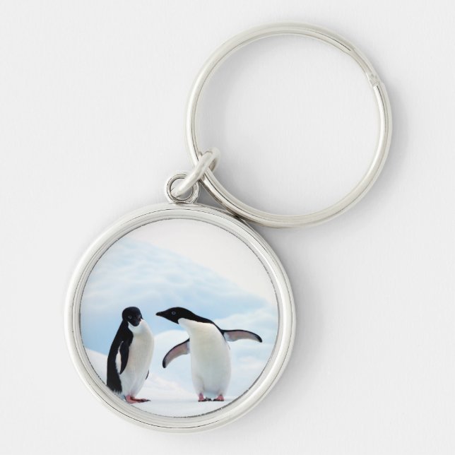 Adelie Penguins Schlüsselanhänger (Vorne)