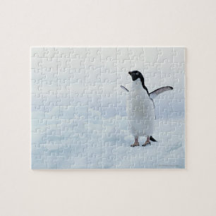 Adelie Pinguin, Antarktis Puzzle