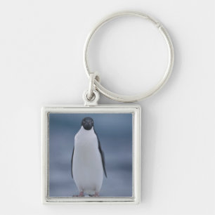 Adelie-Pinguin auf Eis Schlüsselanhänger