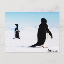 Adélie Pinguin Dancer und Friend