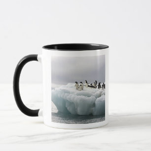 Adelie-Pinguin Pygoscelis adeliae), Tasse