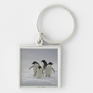 Adelie-Pinguine auf Eis-Flüssen Schlüsselanhänger