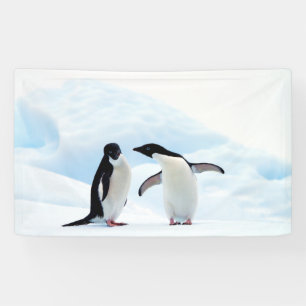 Adelie Pinguine Banner