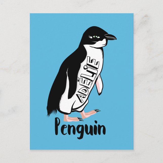 Adelie Pinguine Postkarte (Vorderseite)
