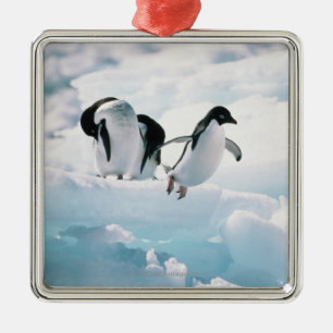Adelie-Pinguine (Pygoscelis adeliae) die Antarktis Silbernes Ornament