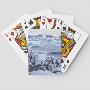 Adelie-Pinguine Pygoscelis adeliae Spielkarten