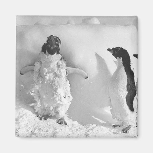 Adeliemanchot Magnet (Vorne)